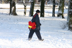 Snowy Newsham Park 18