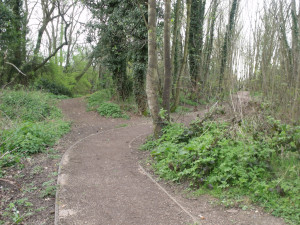 River Rea Trail - Mill Lane, Northfield - path